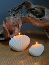 Load image into Gallery viewer, Shells
