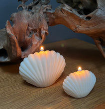 Load image into Gallery viewer, Shells
