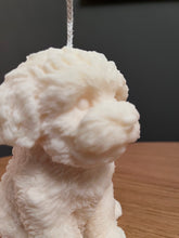Load image into Gallery viewer, Bailey The Cockapoo
