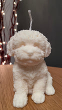 Load image into Gallery viewer, Bailey The Cockapoo
